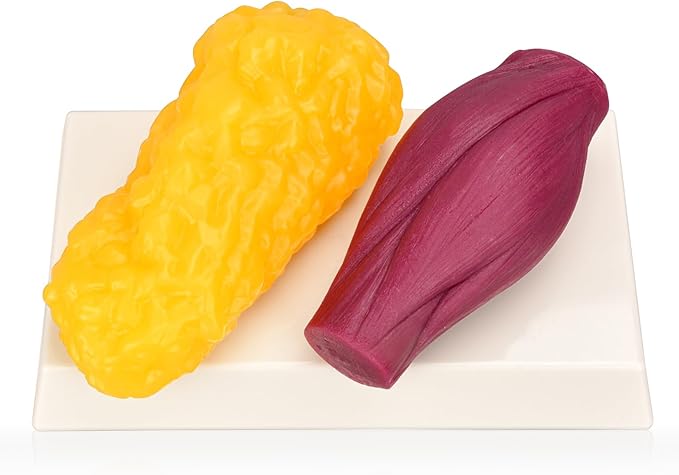 Skillssist Human Muscle Fat Model