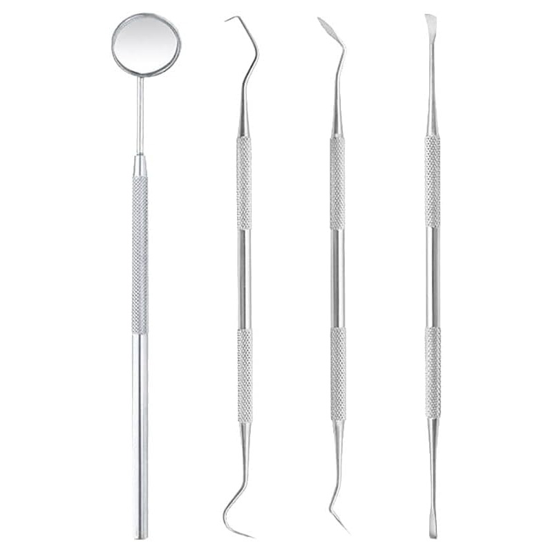 GSHLLO 4 قطع مجموعة تنظيف أسنان الكلاب